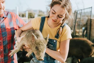 couple volunteering with pigs